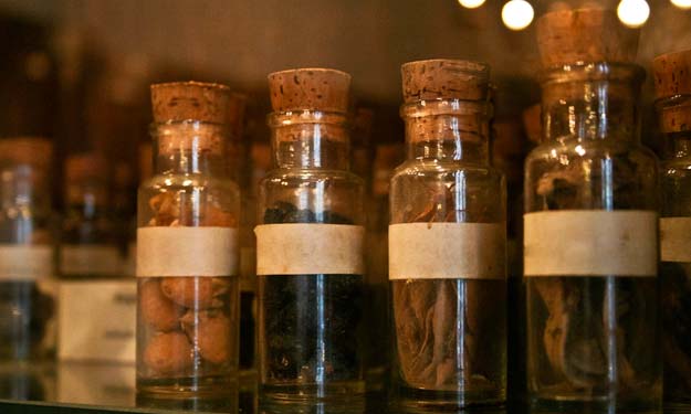 Old Bottles Filled with Herbs.