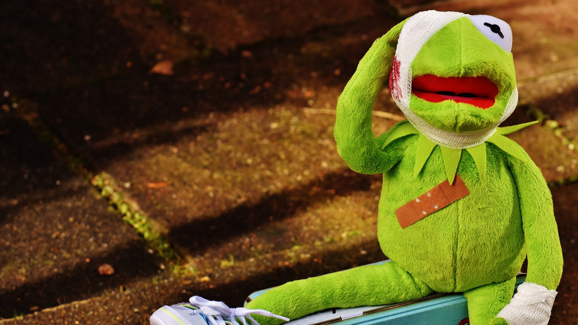 Kermit the frog with a bandaid and injured head.