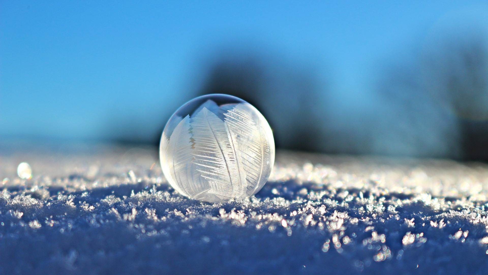 Frozen soap bubble on snow.