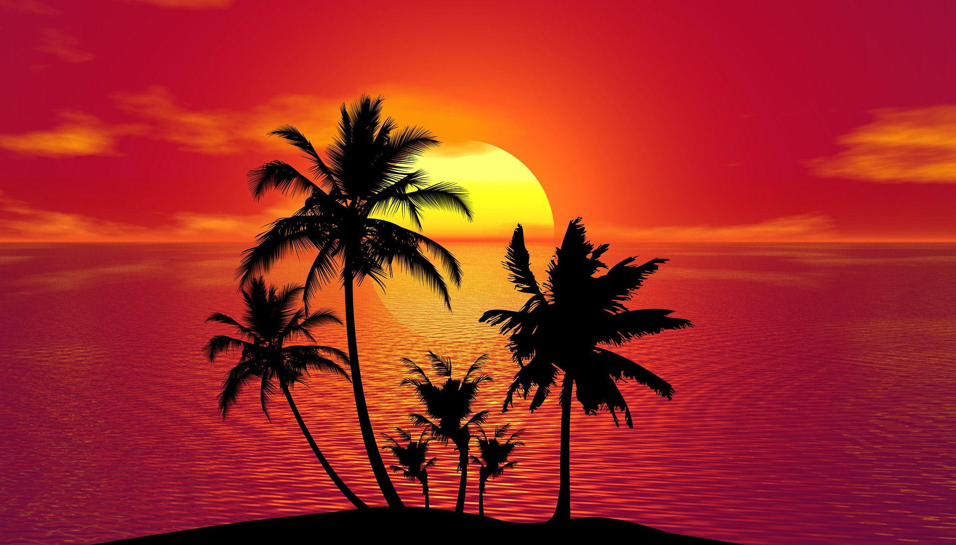 Sunset palm trees