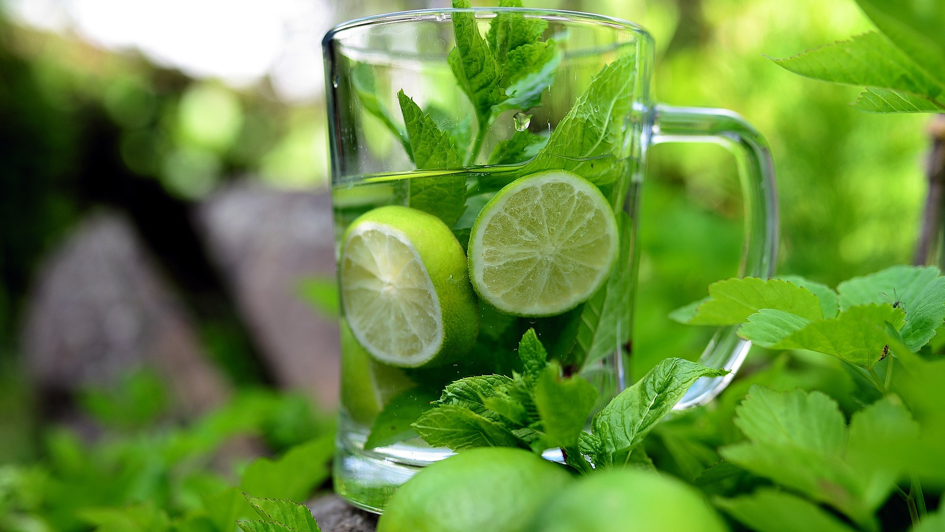 Fresh mint and lime in water